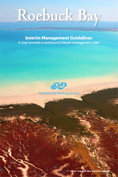 press to download management guidelines