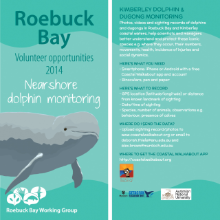 Dolphin Monitoring Card